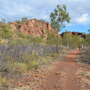 Upper Gorge Walk Track 