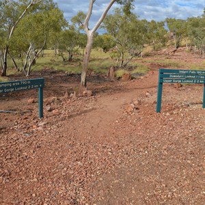 Upper Gorge Walk Track Junction Sign