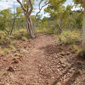 Upper Gorge Walk Track