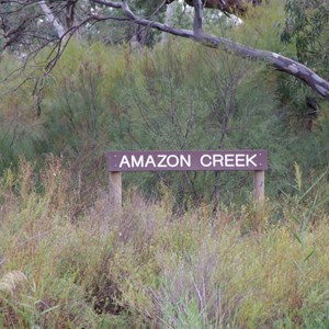 Amazon Creek 