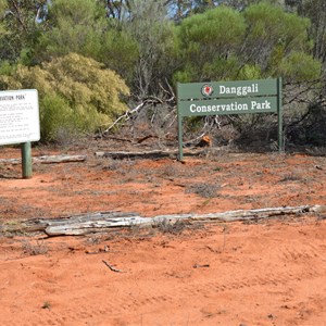 Danggali Conservation Park Track Junction