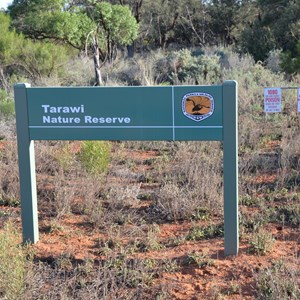 Tarawi Nature Reserve Eastern Boundary