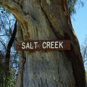 Salt Creek - Murray River