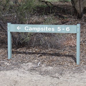 Campsites 5 & 6 Turn Off Katarapko National Park