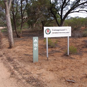 Camp Site 18 - Katarapko Creek