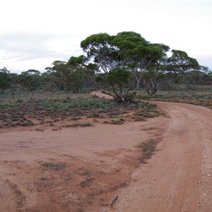 Mallee Drive Direction Sign