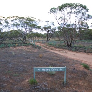 Mallee Drive Direction Sign