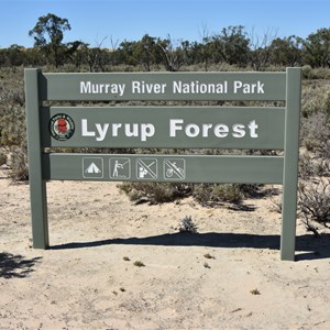 Murray River National Park - Lyrup Forest Boundary Sign