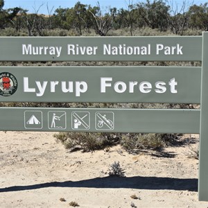 Murray River National Park - Lyrup Forest Boundary Sign 