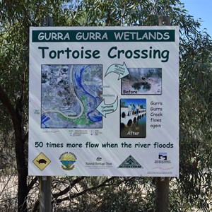 Gurra Gurra Wetlands Tortoise Crossing