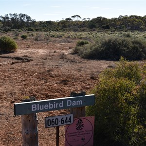 Bluebird Dam Site 