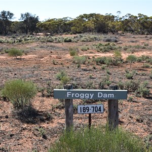 Froggy Tank and Dam