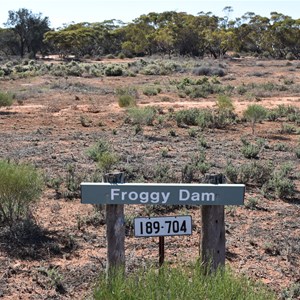 Froggy Tank and Dam