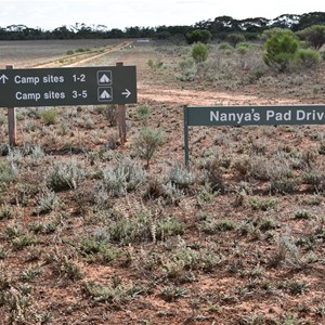 Nanya Pad Drive Turn Off