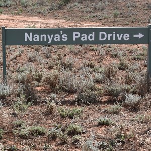 Nanya's Pad Drive Turn Off