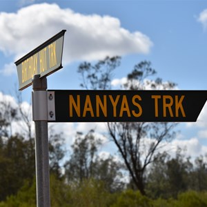 Nanya's Pad Drive Turn Off 