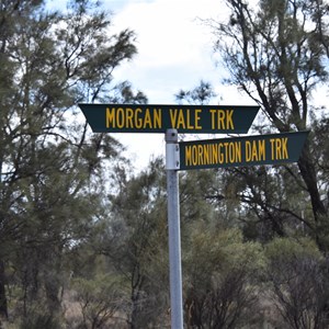 Morgan Vale Track Junction 