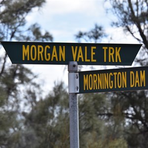 Morgan Vale Track Junction 