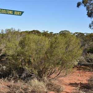 Cooltong Conservation Park Boundary Track Junction