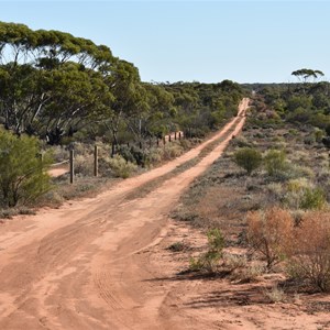Cooltong Conservation Park Boundary Track Junction