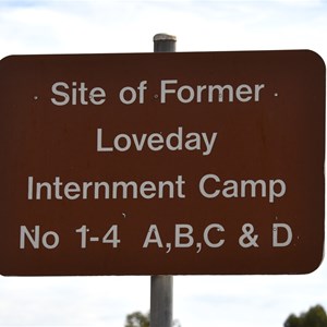 Loveday WWII Internment Camp 1 - 4