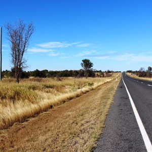 Highway and area near Junee Rest Area