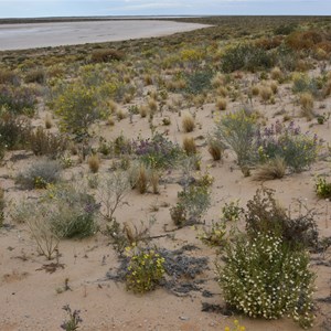 Crest On Lake Eyre Road