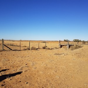 Dog Fence - Oodnadatta Track