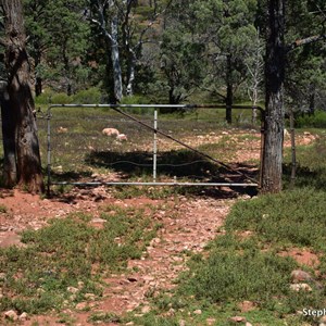 Arkapena Track Gate 
