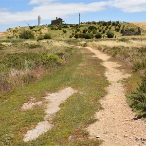 The track to the lighthouse