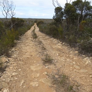 Initial Reserve track conditions