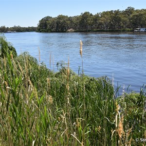 The Murray River from the Bert Dix Memorial Riverside Park