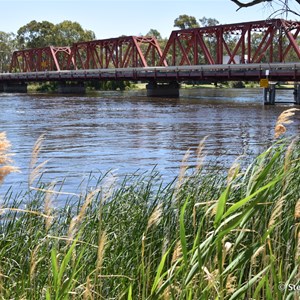 Historic Paringa Bridge from the Bert Dix Memorial Riverside Park