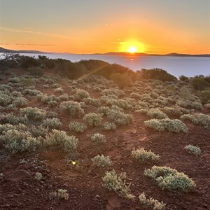 Lake Gairdner Foreshore
