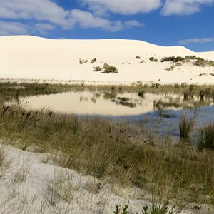 Lake amongst the dunes