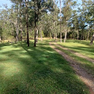 Nymboida River Campground