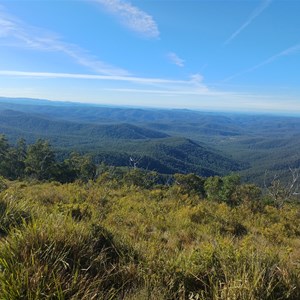 Mt. Hyland Lookout