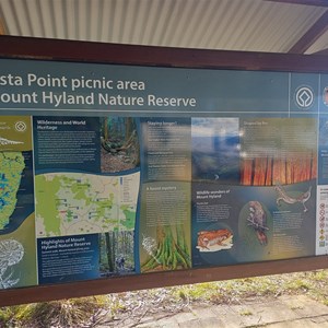 Mt. Hyland Lookout