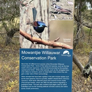 Mowantjie Willauwar Conservation Park