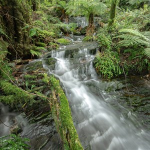 Waterfall Creek