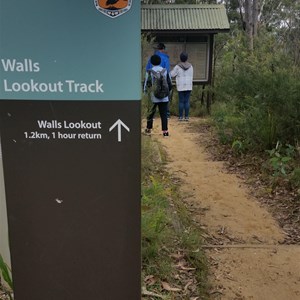 Trail Head of Walls Lookout Track