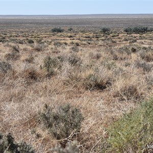 Living Site - Mungo NP