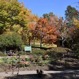 Mt Lofty Botanic Gardens
