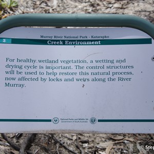 Ngak Indau Wetland Trail - Interpretive Sign - Creek Environment 
