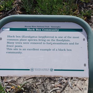 Ngak Indau Wetland Trail - Interpretive Sign - Black Box Community
