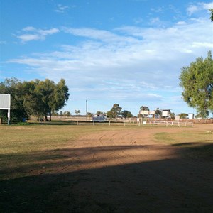 Show grounds