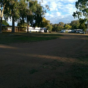 Show grounds