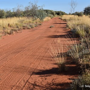 Track into the old gravel pit