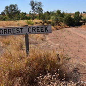 Forrest Creek Crossing