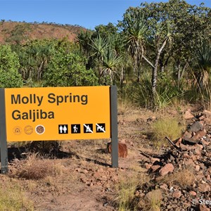 Molly Spring